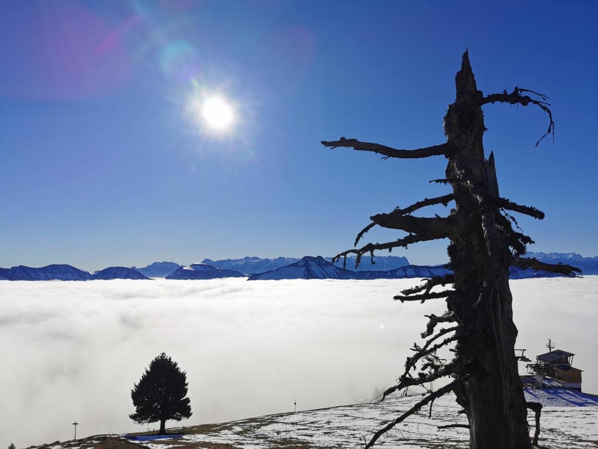 Schnaitstadl-Alm Selbstversorgerhuette Krispl Exterior foto