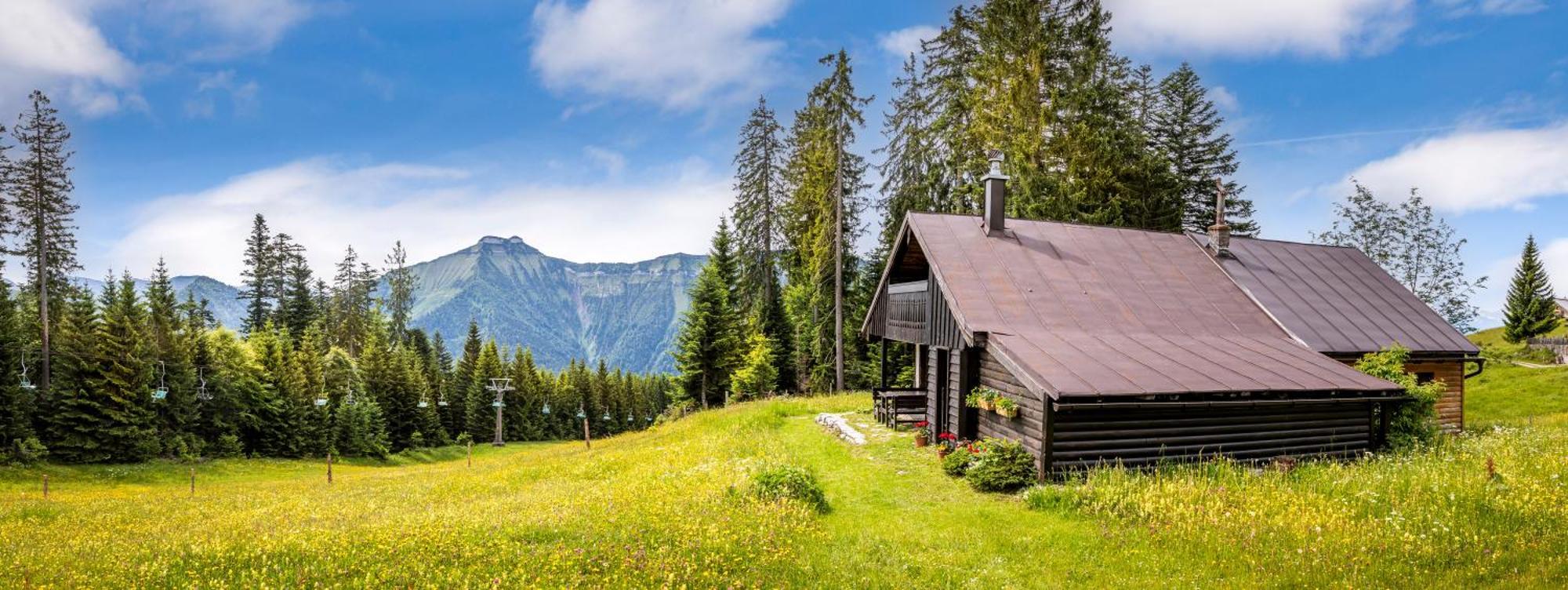 Schnaitstadl-Alm Selbstversorgerhuette Krispl Exterior foto