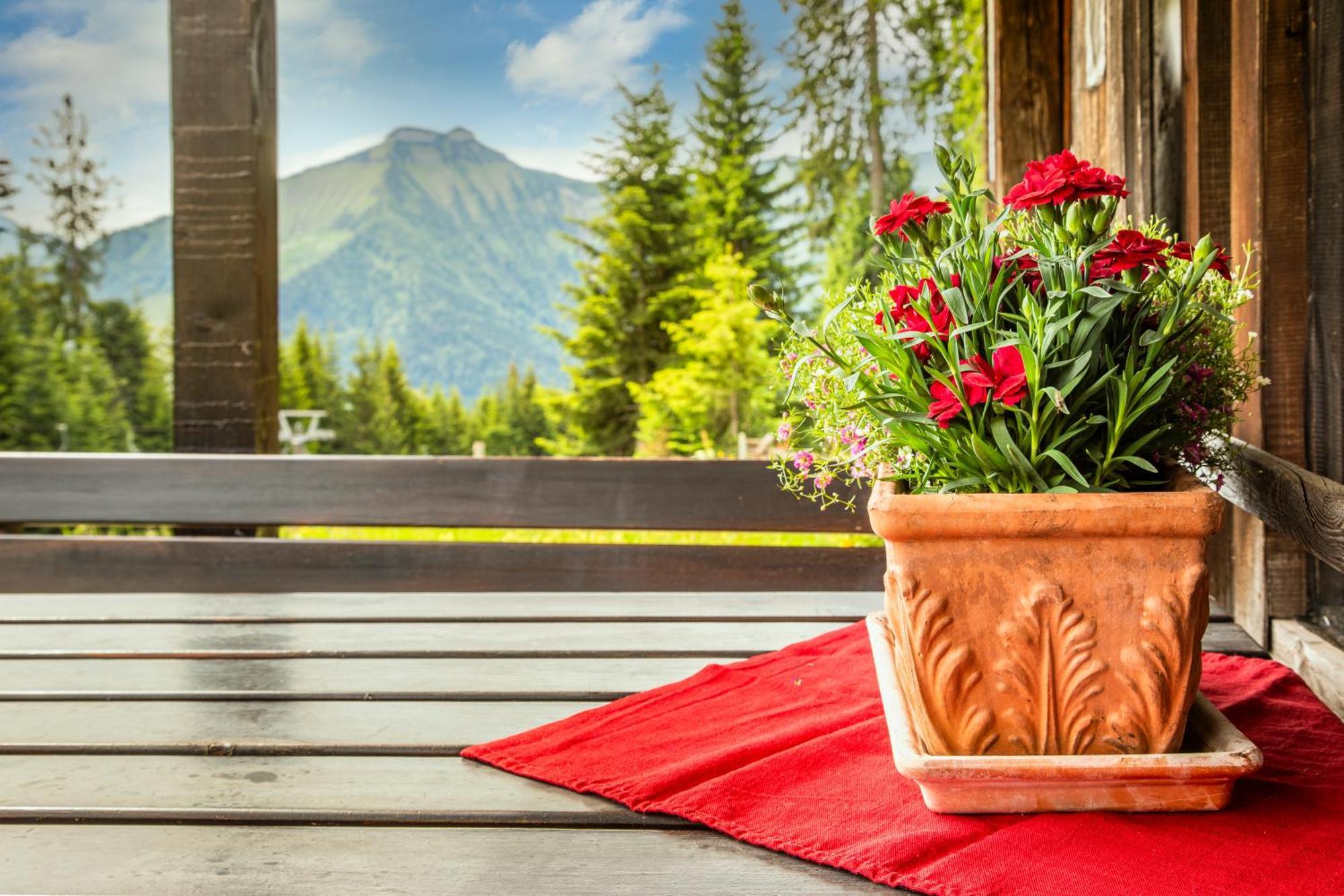 Schnaitstadl-Alm Selbstversorgerhuette Krispl Exterior foto